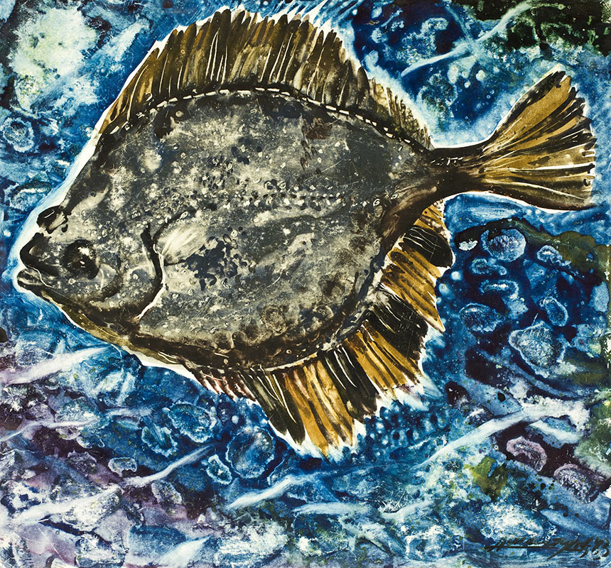 亚历山大·舍尔图诺夫 比目鱼 1983 水彩纸 33 × 36
